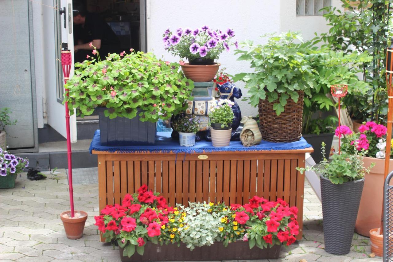 Restaurant / Pension Mainzer Tor Alsfeld Ngoại thất bức ảnh